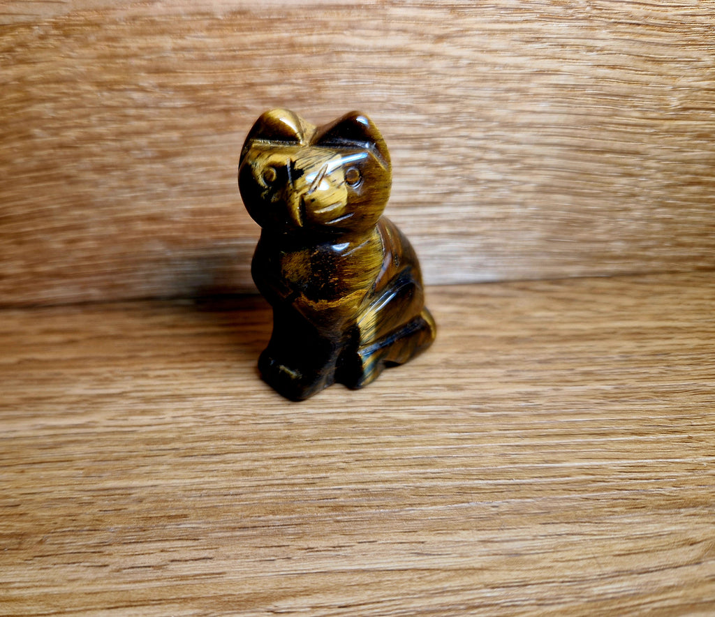 Tigerauge Katze – Schutz & Selbstvertrauen