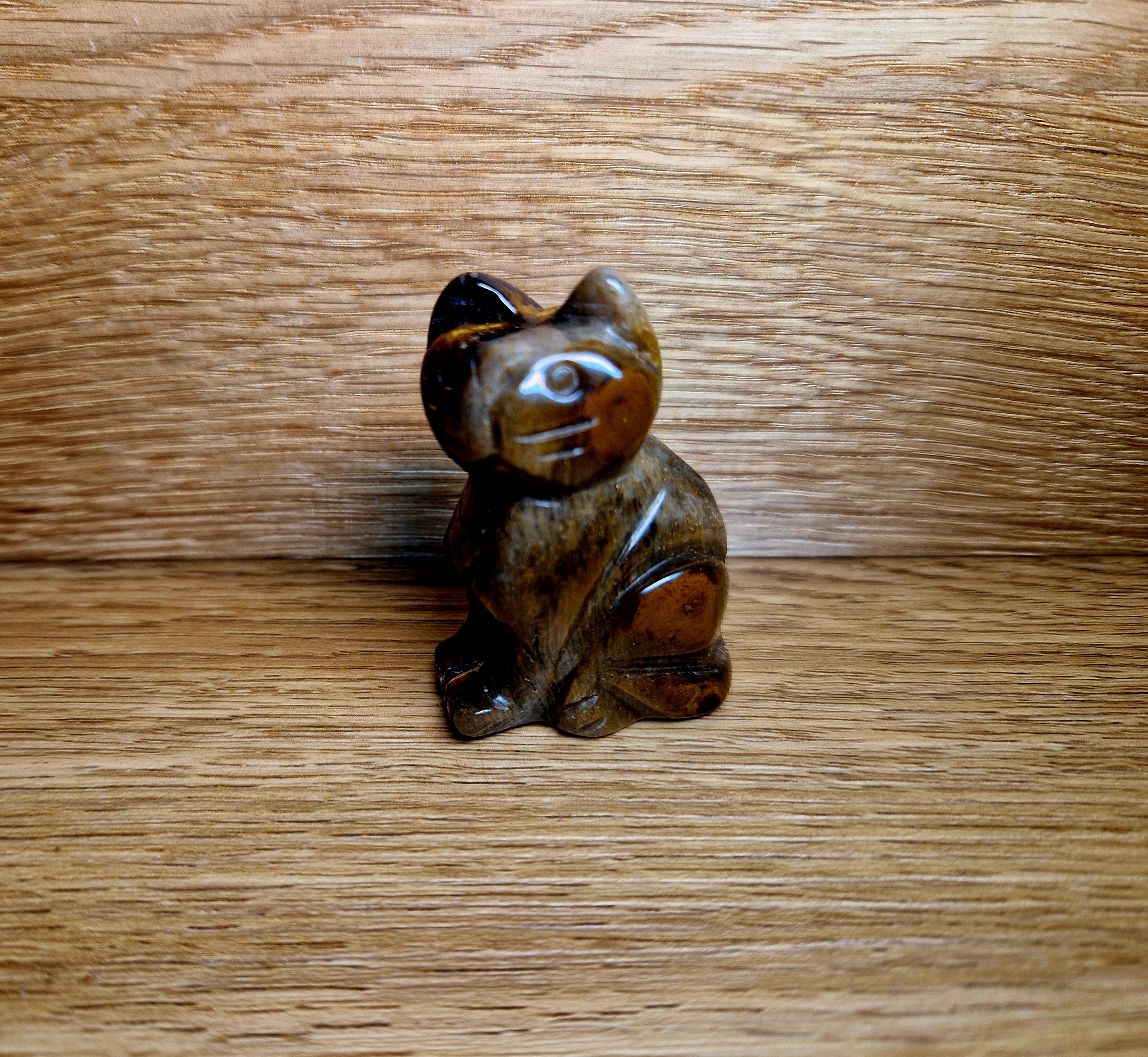 Tigerauge Katze – Schutz & Selbstvertrauen