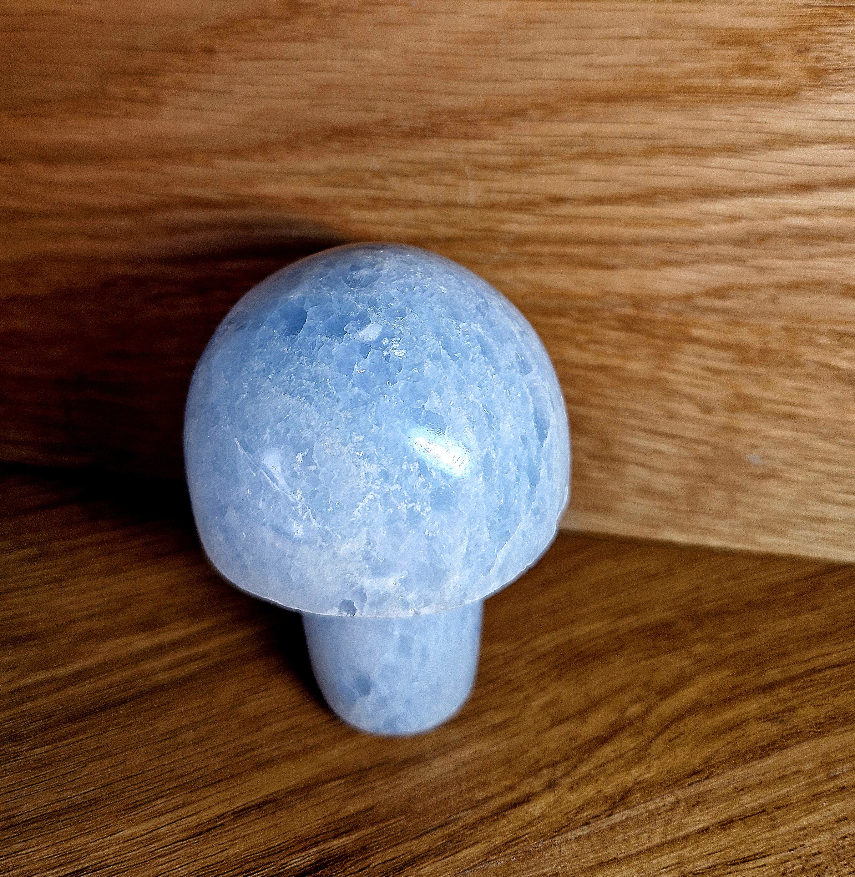 Blauer Calcit Pilz – Beruhigende Energie & einzigartige Handarbeit