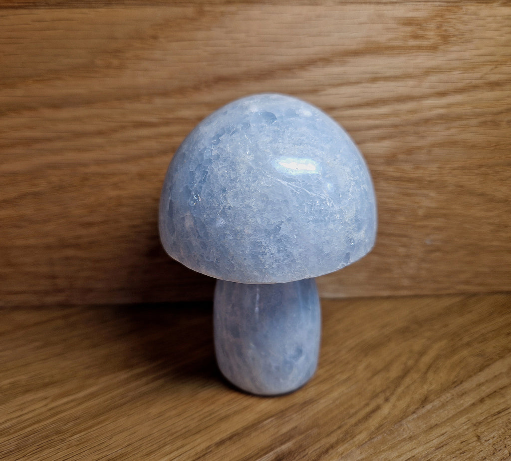 Blauer Calcit Pilz – Beruhigende Energie & einzigartige Handarbeit