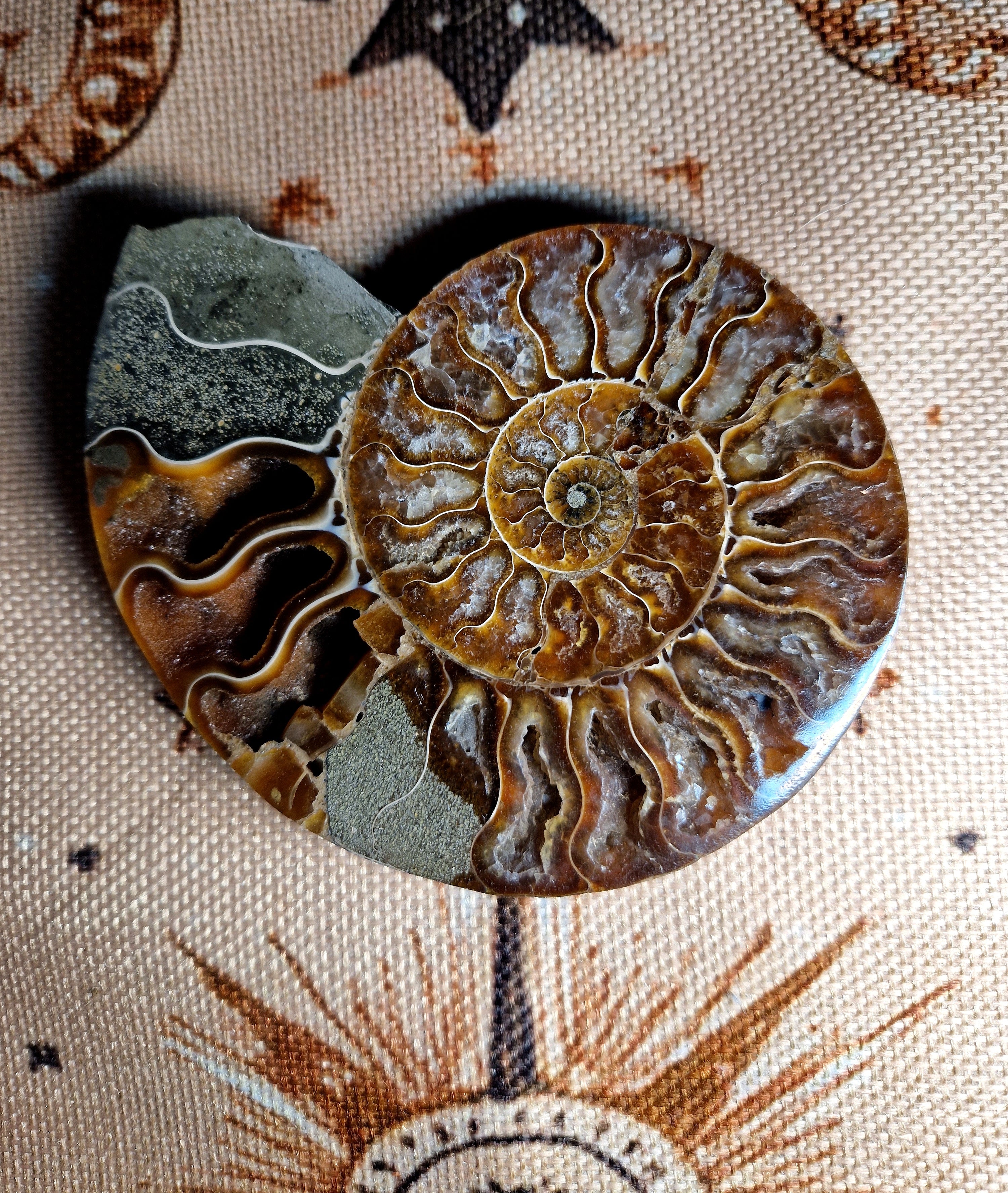 Ammonit Fossil – poliert & teilkristallisiert Madagaskar ca. 200 g