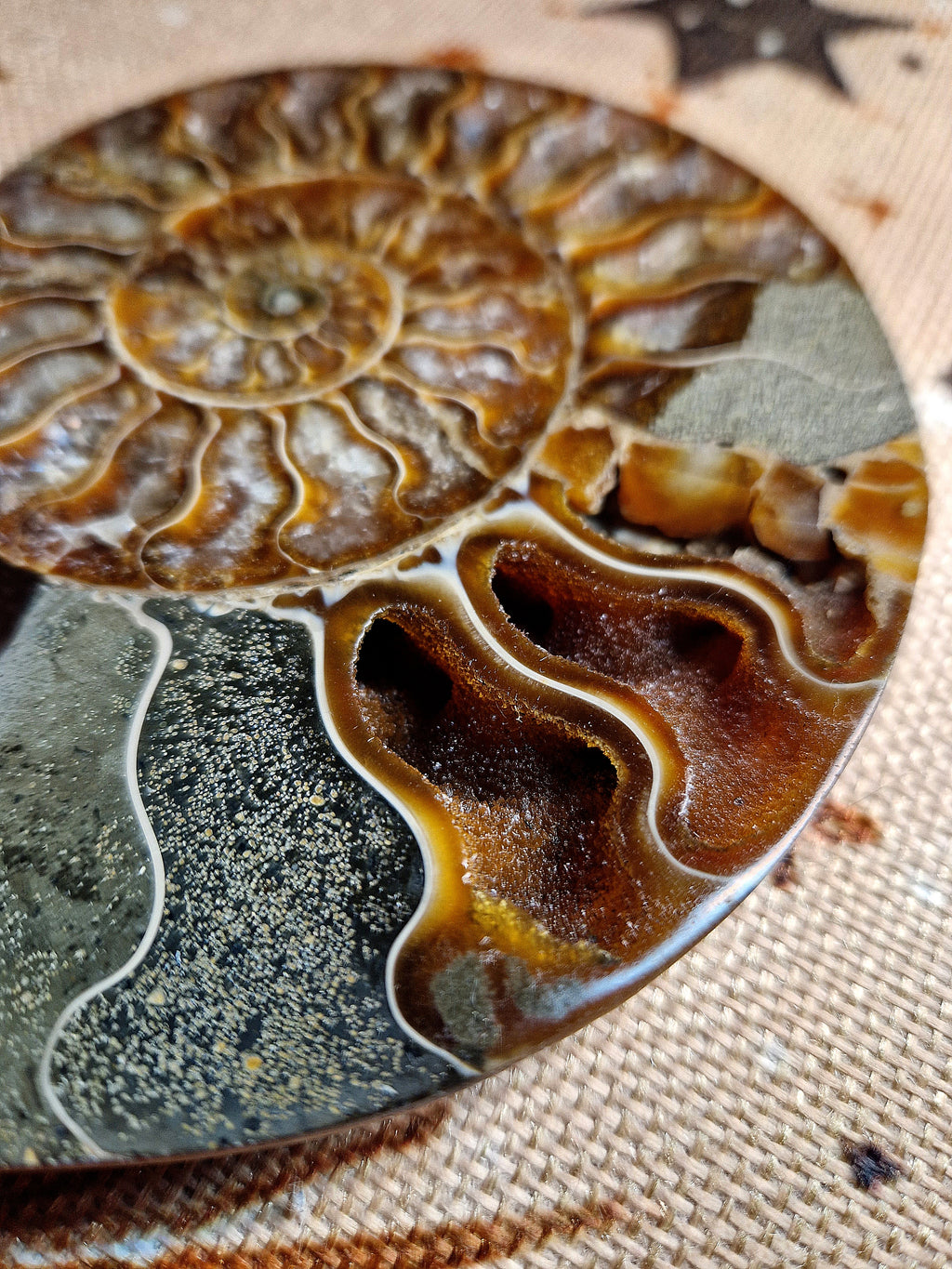 Ammonit Fossil – poliert & teilkristallisiert Madagaskar ca. 200 g