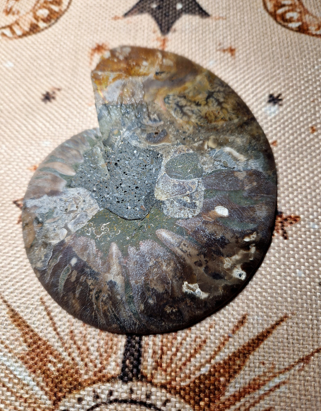 Ammonit Fossil – poliert & teilkristallisiert Madagaskar ca. 200 g