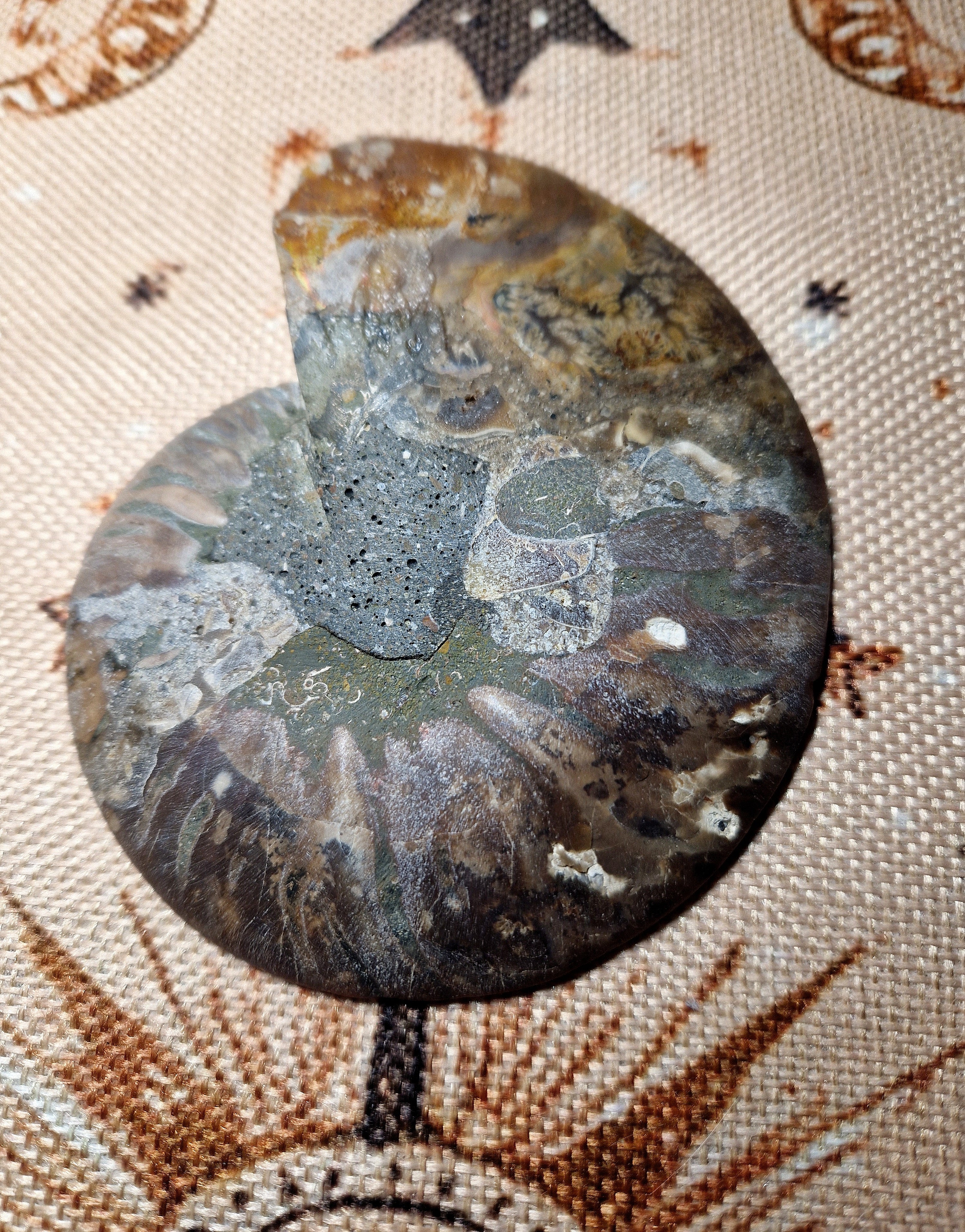 Ammonit Fossil – poliert & teilkristallisiert Madagaskar ca. 200 g