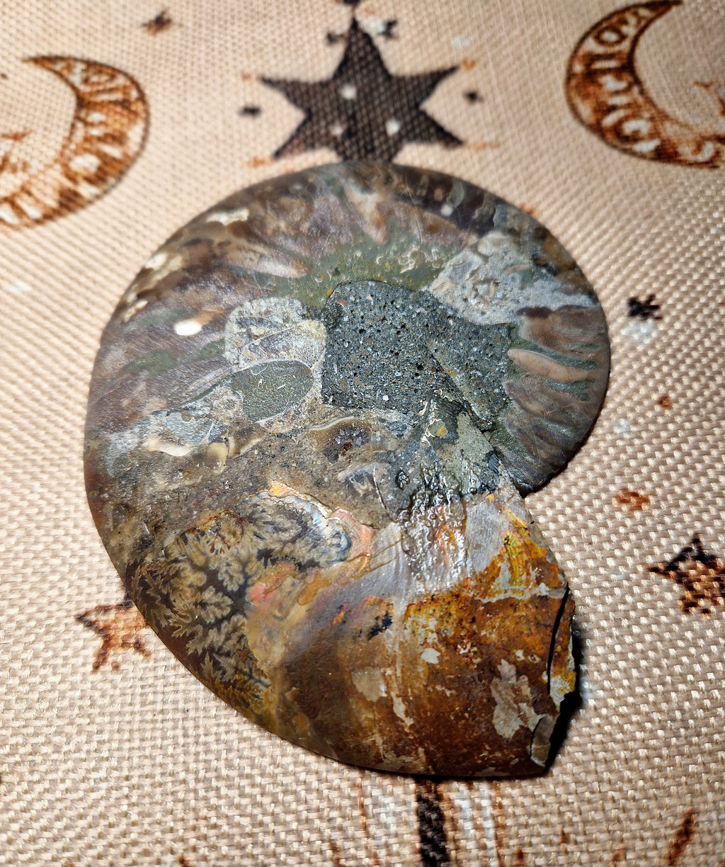 Ammonit Fossil – poliert & teilkristallisiert Madagaskar ca. 200 g
