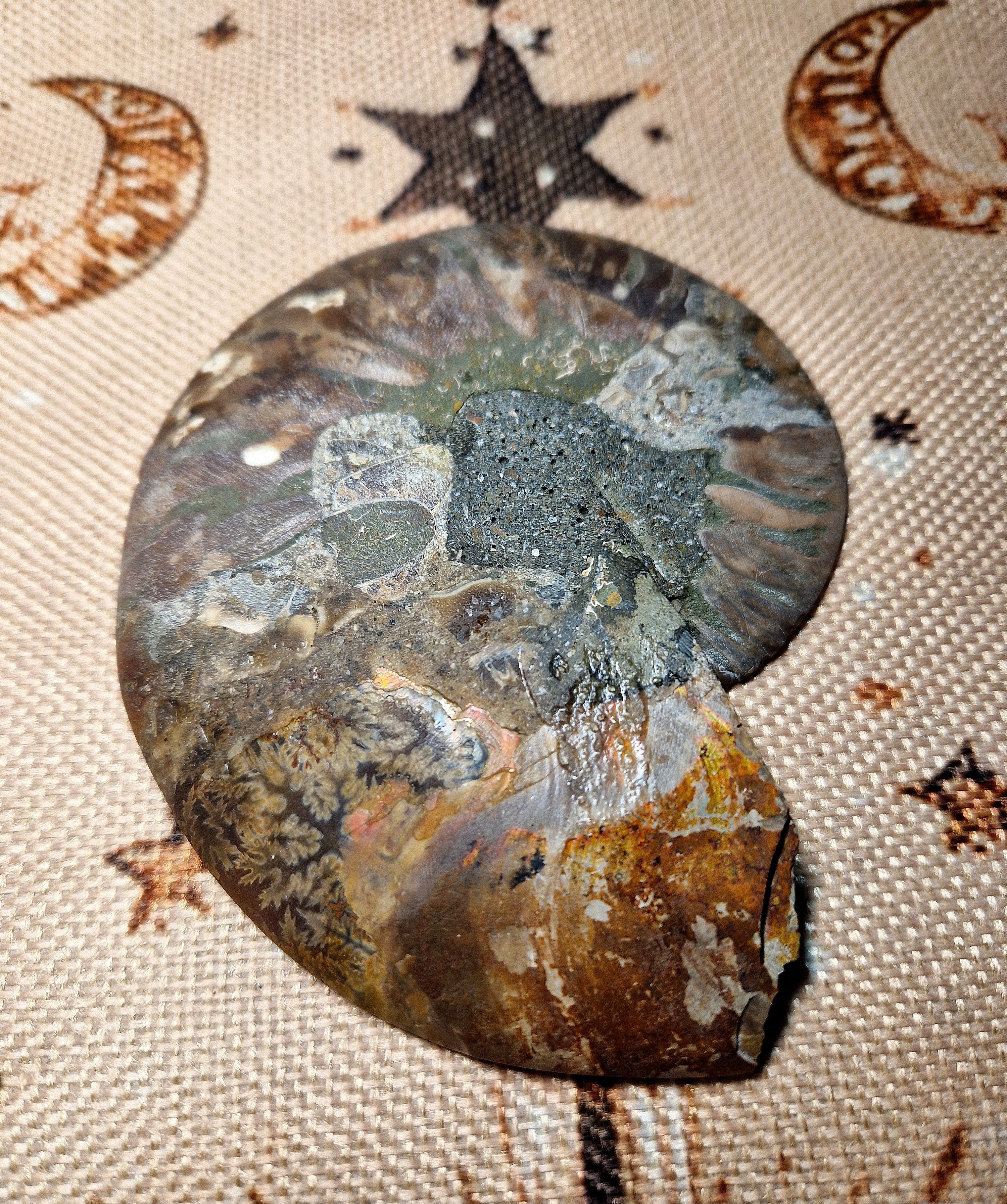 Ammonit Fossil – poliert & teilkristallisiert Madagaskar ca. 200 g