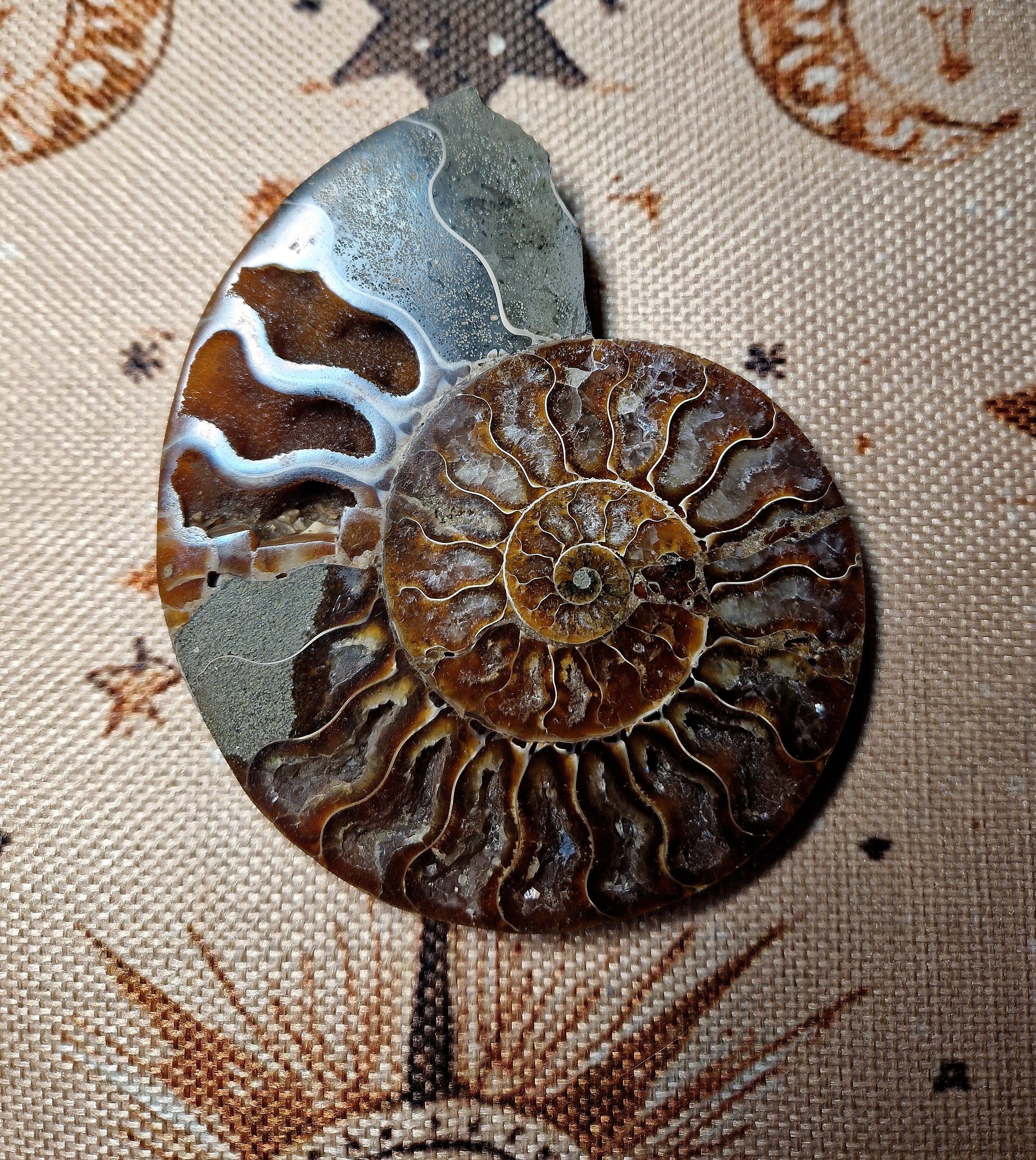 Ammonit Fossil – poliert & teilkristallisiert Madagaskar ca. 200 g