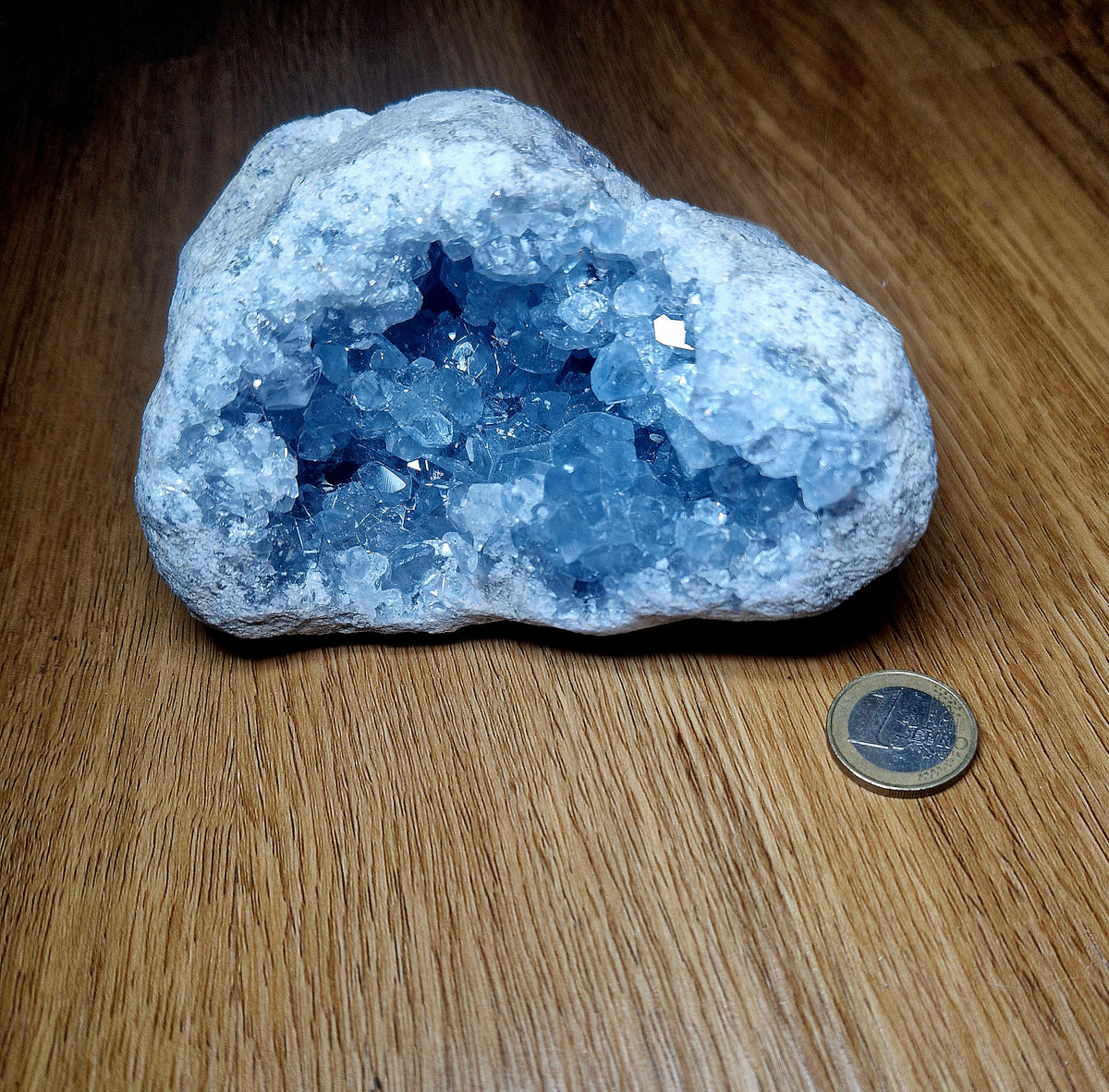 💎 Coelestin Druse – 1,405 kg Himmelblaue Kristallhöhle Einzelstück