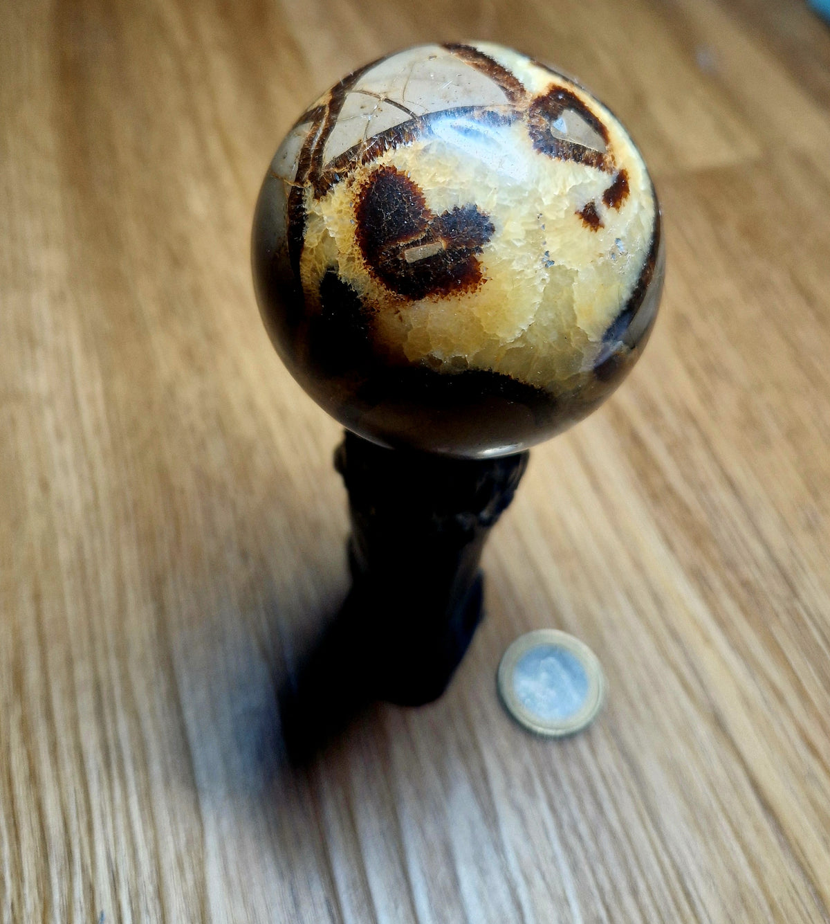 🌍 Septarien Kugel – ca. 322g  6,1 cm Unikat