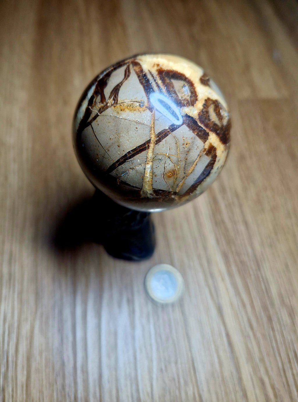 🌍 Septarien Kugel – ca. 322g  6,1 cm Unikat