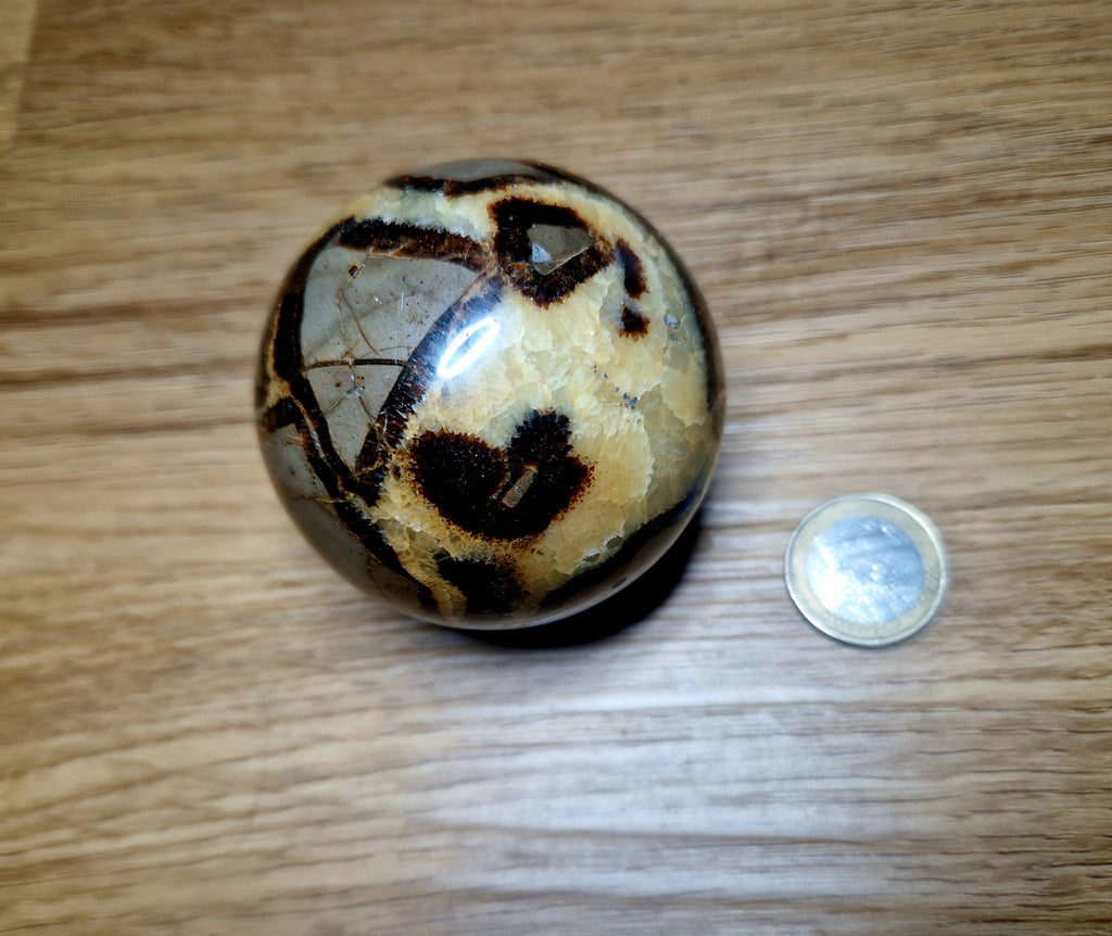 🌍 Septarien Kugel – ca. 322g  6,1 cm Unikat