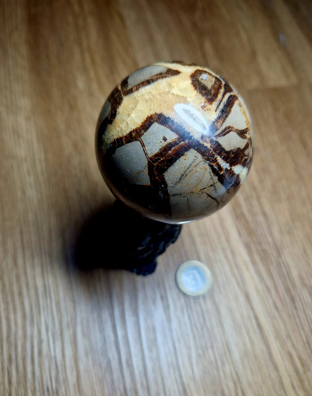 🌍 Septarien Kugel – ca. 322g  6,1 cm Unikat