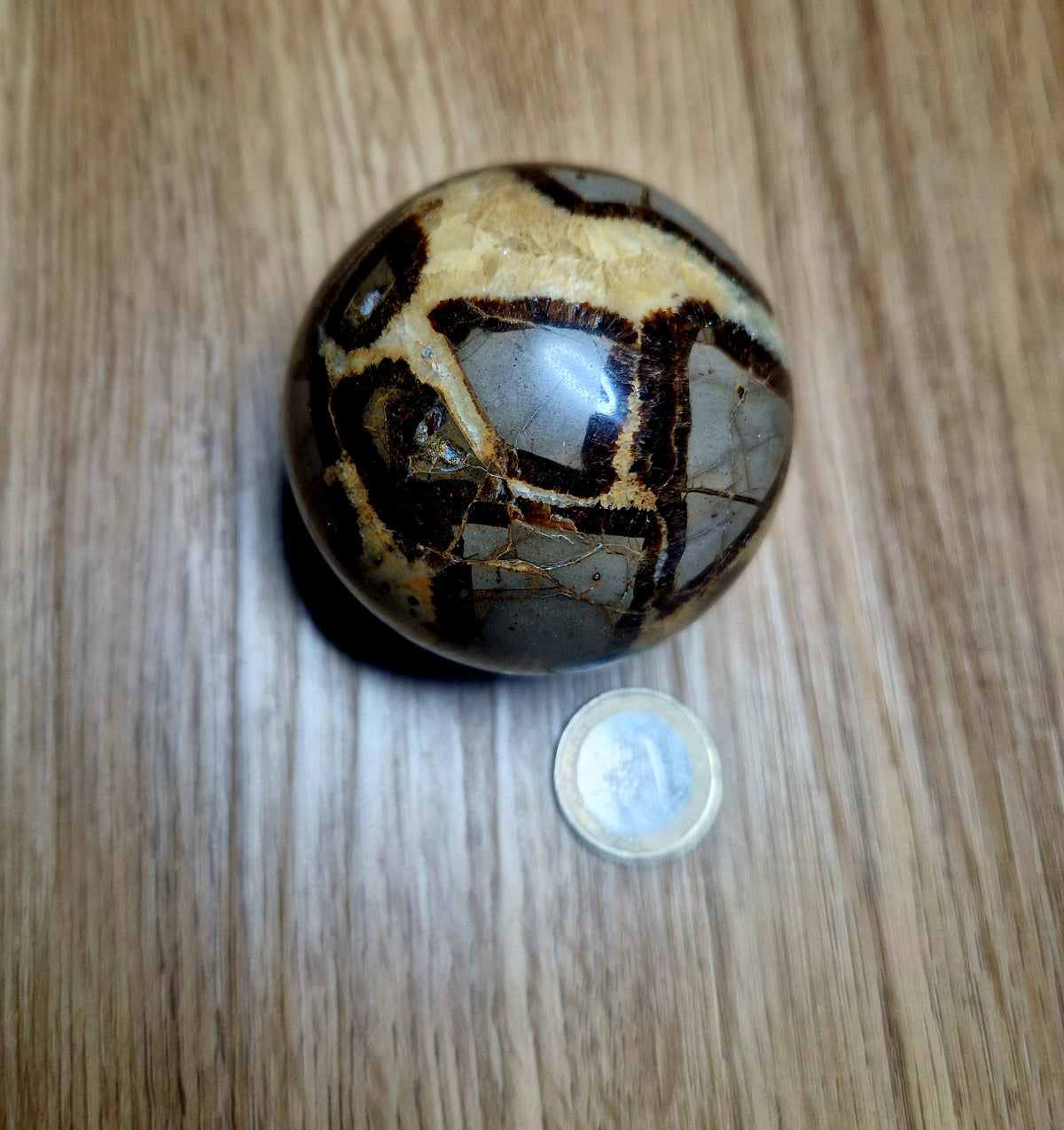 🌍 Septarien Kugel – ca. 322g  6,1 cm Unikat